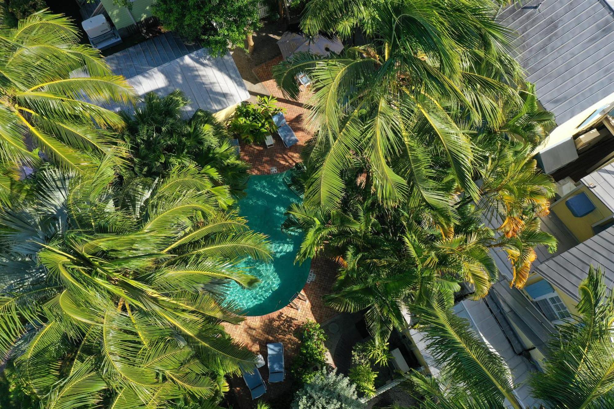 Tranquillity Guest House Key West Exterior foto